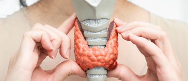 Máte zpomalený metabolismus, jste unavení, tloustnete i při běžné stravě nebo naopak hubnete bez příčiny? Za mnohé z těchto příznaků může být odpovědná štítná žláza – orgán, který řídí téměř všechny procesy v těle. Laboratorní vyšetření hormonů štítné žlázy vám ukáže, zda vaše tělo funguje v rovnováze.