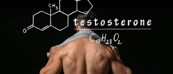 Máte pocit, že vám ubývá energie, špatně regenerujete, ubývá vám svalů nebo se změnila nálada či libido? Hormon testosteron hraje zásadní roli nejen u mužů — a vyšetření celkové hladiny i měření volné frakce vám může dát jasnou odpověď, co se v těle děje.