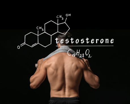 Testosteron – klíčový hormon pro energii, svaly a rovnováhu