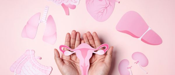 Hormonální profil z balíčku Hormony ženy nabízí přehledné a srozumitelné vyšetření klíčových hormonů, které ovlivňují menstruační cyklus, ovulaci, ovariální rezervu i ženskou plodnost. Pomáhá ženám lépe porozumět fungování jejich hormonálního systému, ať už plánují těhotenství, řeší nepravidelný cyklus, nebo chtějí mít větší kontrolu nad svým hormonálním zdravím.