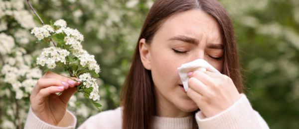 Trpíte kýcháním, slzením očí nebo únavou, jakmile venku začne vše kvést? Nejste v tom sami. Alergie na pyl postihuje až pětinu české populace. Klíčem k úspěšnému zvládnutí sezóny je prevence a správné načasování léčby. K tomu vám poslouží náš podrobný pylový kalendář, který přehledně mapuje období květu dřevin, travin i bylin.