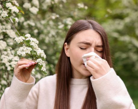 Pylový kalendář v ČR