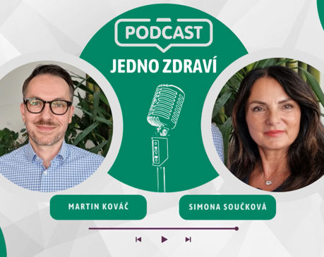 Jednoduché v imunologii není vůbec nic