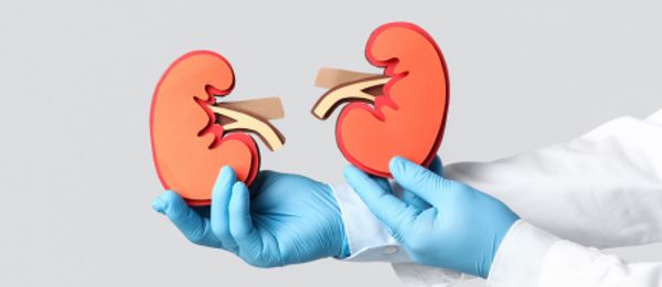 Vyšetření ledvin patří mezi nejdůležitější preventivní laboratorní testy, přesto bývá často podceňováno. Onemocnění ledvin často probíhá bez příznaků a bývá odhaleno až v pokročilém stadiu. V článku se dozvíte, proč je vyšetření ledvin klíčové, kdo by ho měl absolvovat a jak může komplexní laboratorní balíček pomoci odhalit problém včas.