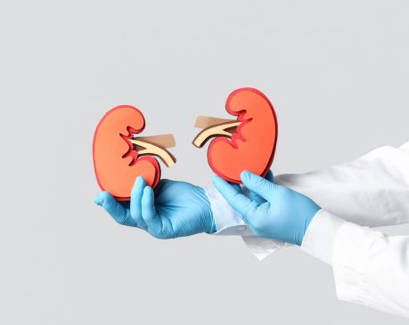 Vyšetření ledvin: Proč je prevence klíčová a jak poznat, že nejsou v pořádku?