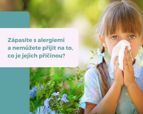Multiplexové vyšetření na alergie ALLERGY Q